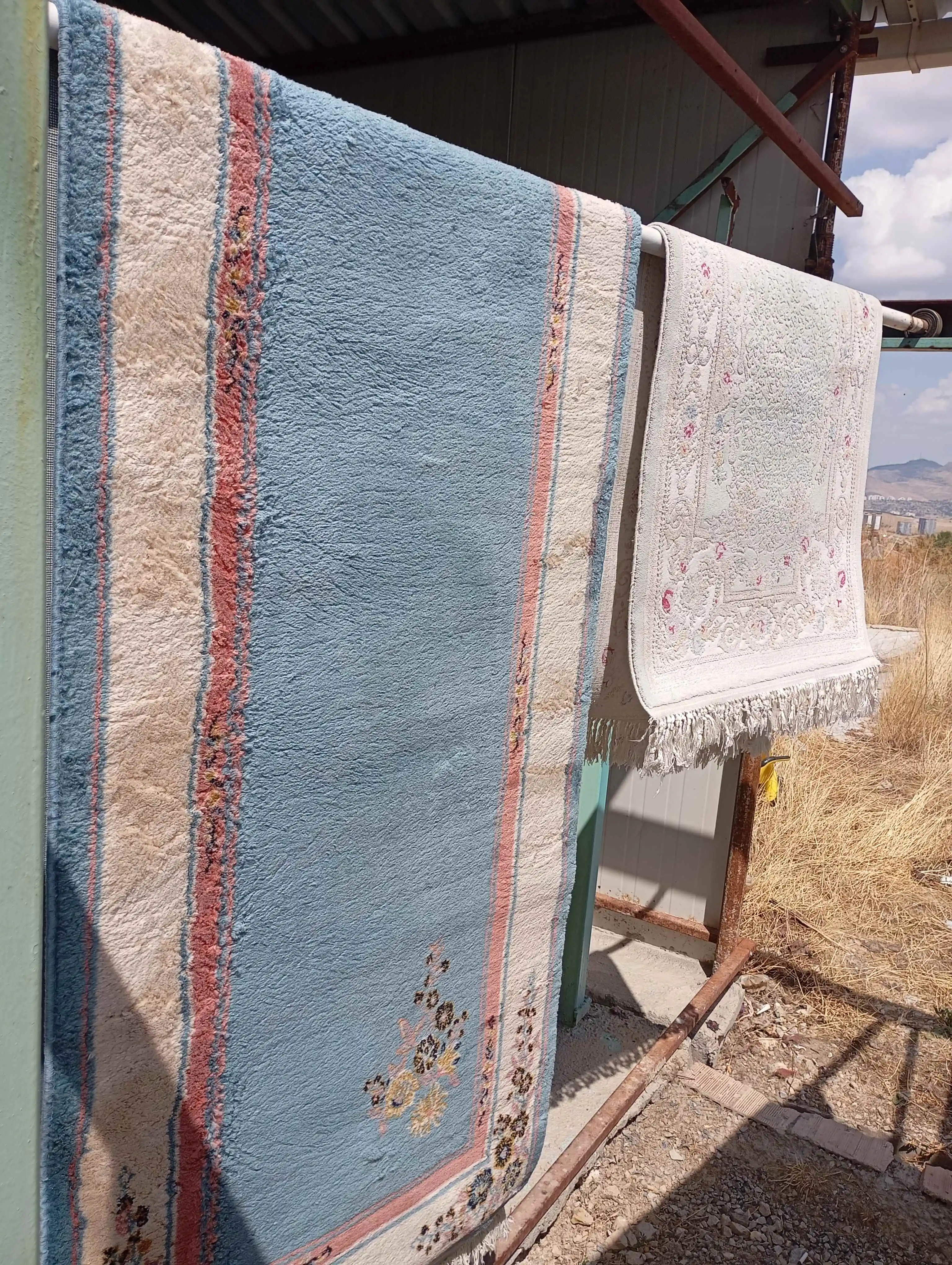 Carpet washing facility
