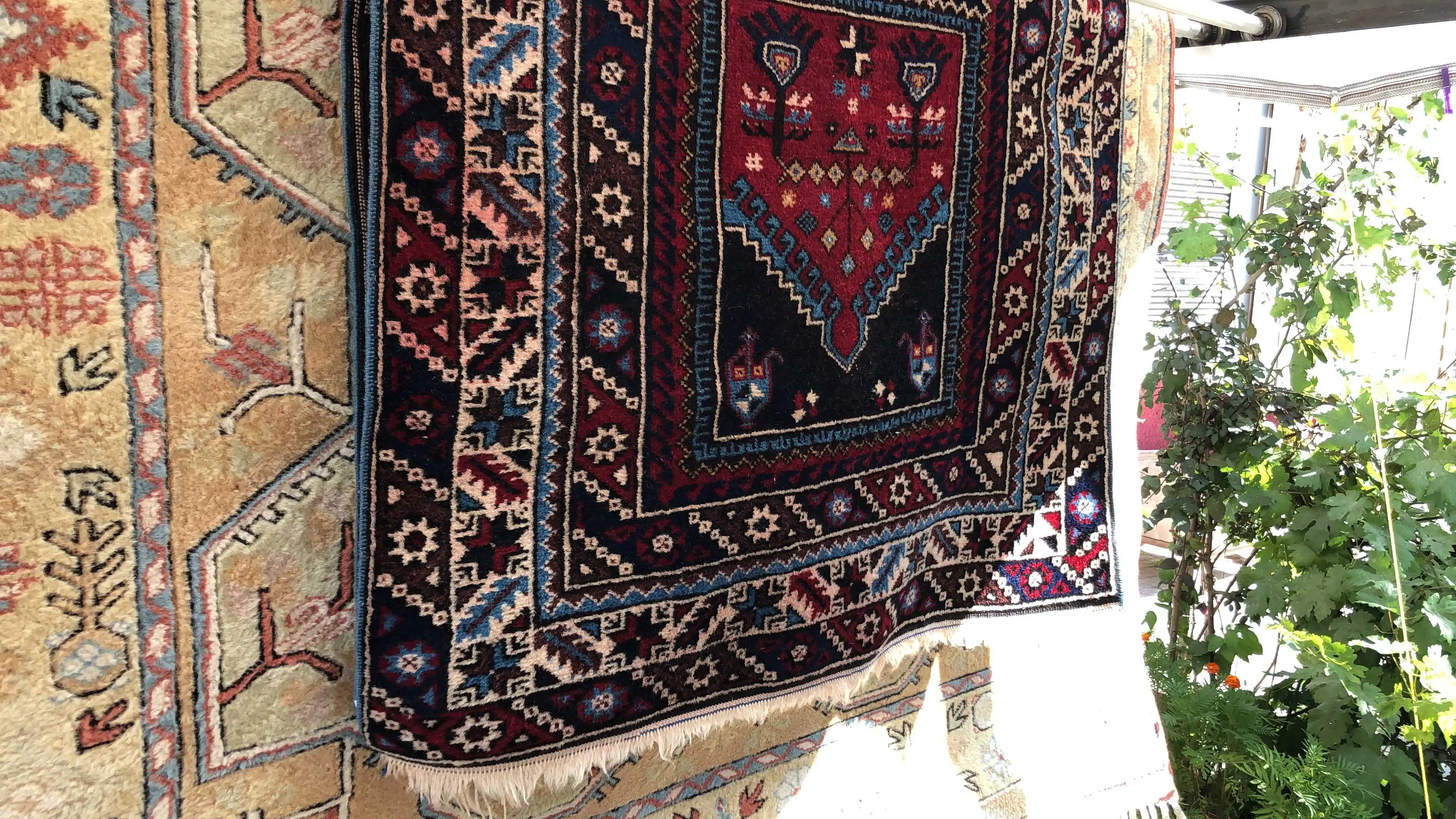 Carpet washing expertise