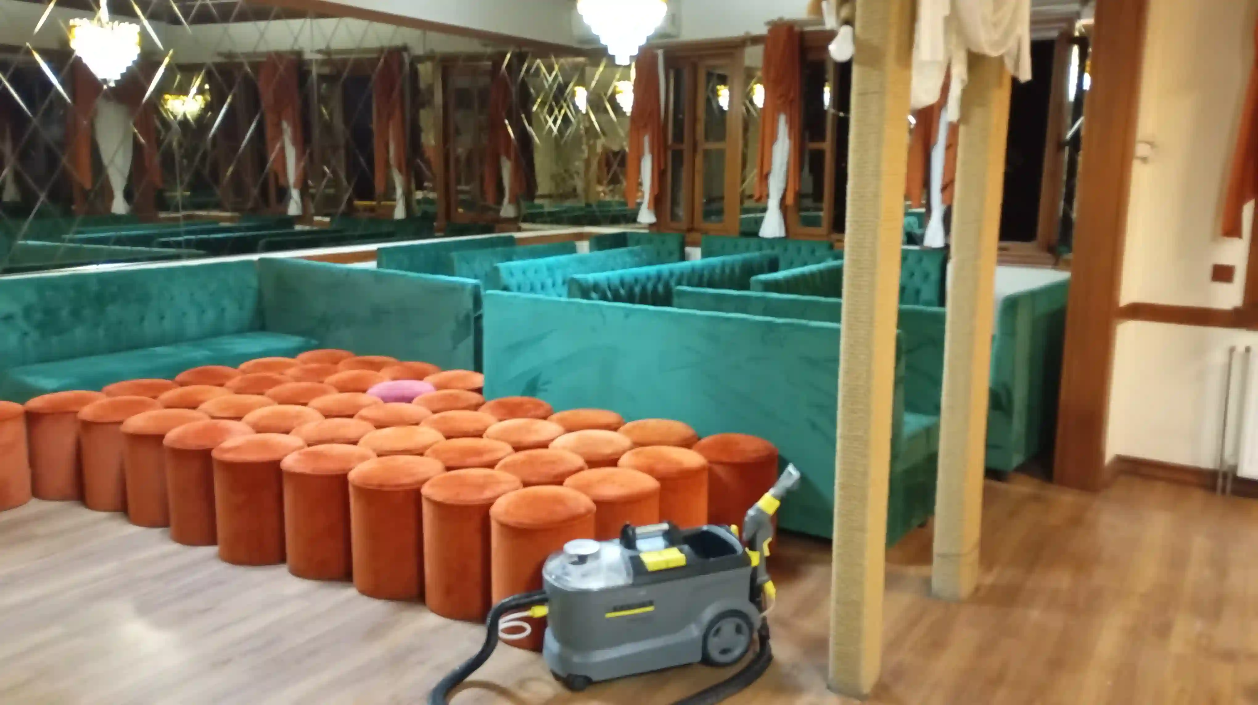 Professional sofa cleaning service