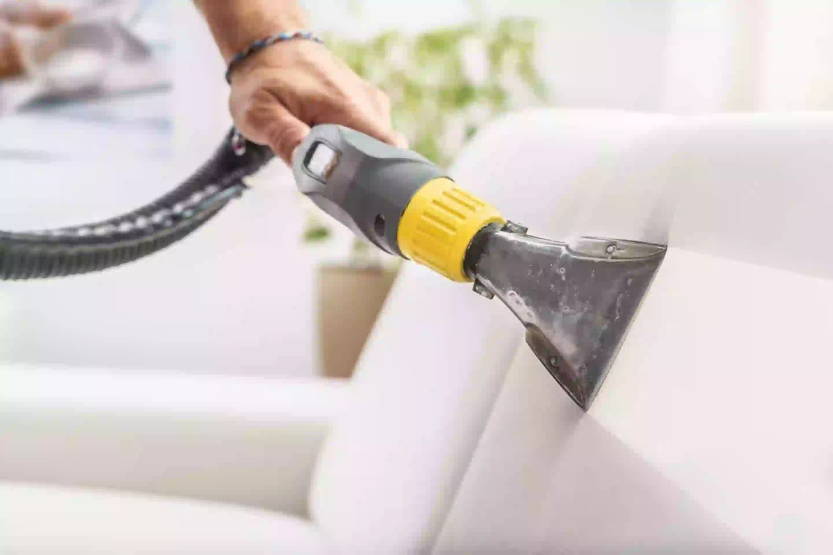 Professional sofa cleaning service
